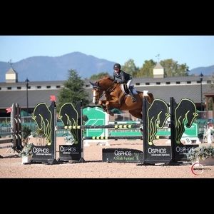 Meet your Posher, Jacqueline